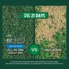 imageScotts EZ Seed Patch ampamp Repair Sun and Shade Seeds up to 85 sq ft 375 pounds