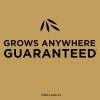 imageScotts EZ Seed Patch ampamp Repair Sun and Shade Seeds up to 85 sq ft 375 pounds