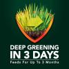 imageScotts Green Max Lawn Food Lawn Fertilizer Plus Iron Supplement for Greener Grass in 3 Days 5000 sq ft 1667 lbs5 000 sq ft