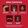 imageScotts GrubEx1 Season Long Grub Killer Protects Lawns Up to 4 Months 5000 sq ft 1435 lbs10 000 sq ft