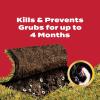 imageScotts GrubEx1 Season Long Grub Killer Protects Lawns Up to 4 Months 5000 sq ft 1435 lbs5 000 sq ft pack of 2
