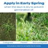 imageScotts Halts Crabgrass and Grassy Weed Preventer Crabgrass Preventer Pre Emergent Weed Control for Lawns Prevents Chickweed ampamp More Treats up to 5000 sq ft 1006 lb10 000 sq ft