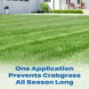 imageScotts Halts Crabgrass and Grassy Weed Preventer Crabgrass Preventer Pre Emergent Weed Control for Lawns Prevents Chickweed ampamp More Treats up to 5000 sq ft 1006 lb10 000 sq ft