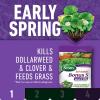 imageScotts Turf Builder 4Part Southern Lawn Care Plan Includes Southern Lawn Food and Bonus S Southern Weed and Feed2 For Small Yards Covers up to 5000 sq ftSmall Yard  4 Part Application