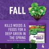 imageScotts Turf Builder 4Part Southern Lawn Care Plan Includes Southern Lawn Food and Bonus S Southern Weed and Feed2 For Small Yards Covers up to 5000 sq ftSmall Yard  4 Part Application