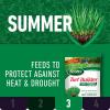 imageScotts Turf Builder 4Part Southern Lawn Care Plan Includes Southern Lawn Food and Bonus S Southern Weed and Feed2 For Small Yards Covers up to 5000 sq ftLarge Yard  4 Part Application