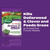 imageScotts Turf Builder Bonus S Southern Weed ampamp FeedF2  Florida Weed Killer and Lawn Fertilizer 10000 sq ft 3448 lbs10 000 sq ft