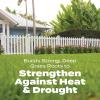 imageScotts Turf Builder Bonus S Southern Weed ampamp FeedF2  Florida Weed Killer and Lawn Fertilizer 10000 sq ft 3448 lbs10 000 sq ft