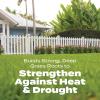 imageScotts Turf Builder Bonus S Southern Weed ampamp FeedF2  Florida Weed Killer and Lawn Fertilizer 10000 sq ft 3448 lbs10 000 sq ft
