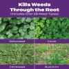 imageScotts Turf Builder Bonus S Southern Weed ampamp FeedF2  Florida Weed Killer and Lawn Fertilizer 10000 sq ft 3448 lbs10 000 sq ft