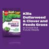 imageScotts Turf Builder Bonus S Southern Weed ampamp FeedF2  Florida Weed Killer and Lawn Fertilizer 10000 sq ft 3448 lbs10 000 sq ft