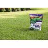 imageScotts Turf Builder Bonus S Southern Weed ampamp FeedF2  Florida Weed Killer and Lawn Fertilizer 10000 sq ft 3448 lbs5 000 sq ft 2Pack