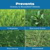 imageScotts Turf Builder Halts Crabgrass Preventer with Lawn Food  PreEmergent Weed Killer Fertilizer 5000 sq ft 1335 lb5 000 sq ft