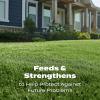 imageScotts Turf Builder Lawn Food  Fertilizer for All Grass Types 5000 sq ft 125 lbs15 000 sq ft