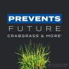 imageScotts Turf Builder Triple Action Weed Killer and Preventer Plus Lawn Fertilizer 4000 sq ft 20 lbs4 000 sq ft