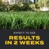 imageScotts Turf Builder Triple Action Weed Killer and Preventer Plus Lawn Fertilizer 4000 sq ft 20 lbs4 000 sq ft