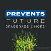 imageScotts Turf Builder Triple ActionI Weed Killer and Preventer Plus Lawn Fertilizer 4000 sq ft 1131 lbs4 000 sq ft