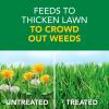 imageScotts Turf Builder Weed ampamp Feed3 Weed Killer Plus Lawn Fertilizer Controls Dandelion and Clover 5000 sq ft 1429 lbs15 000 sq ft