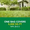 imageScotts Turf Builder Weed ampamp Feed3 Weed Killer Plus Lawn Fertilizer Controls Dandelion and Clover 5000 sq ft 1429 lbs5 000 sq ft
