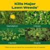 imageScotts Turf Builder Weed ampamp Feed3 Weed Killer Plus Lawn Fertilizer Controls Dandelion and Clover 5000 sq ft 1429 lbsLiquid 32 oz