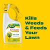 imageScotts Turf Builder Weed ampamp Feed3 Weed Killer Plus Lawn Fertilizer Controls Dandelion and Clover 5000 sq ft 1429 lbsLiquid 32 oz