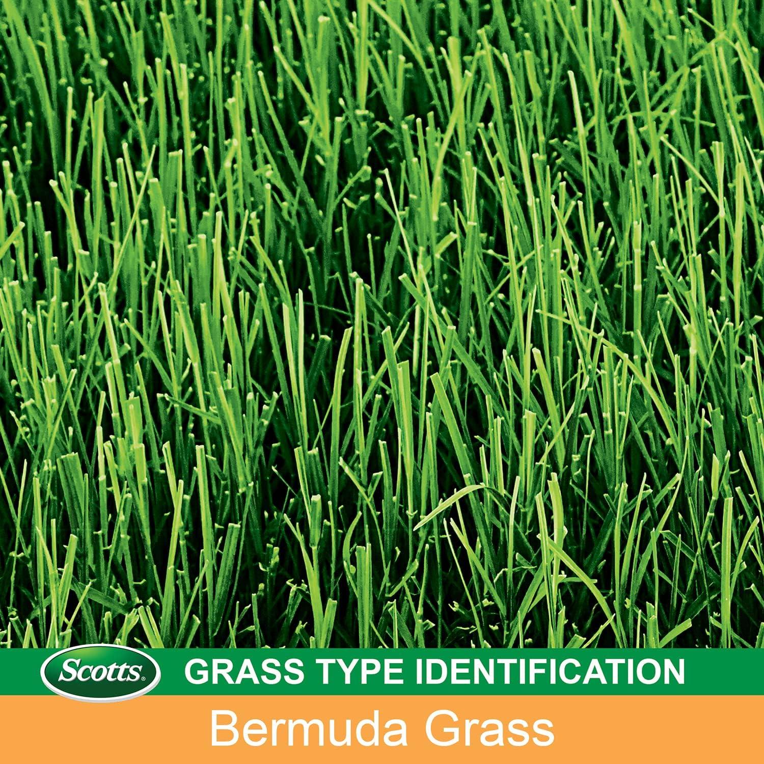 imageScotts EZ Seed Bermudagrass  375 lb Combination Mulch Seed and Fertilizer For Tough Conditions Like Scorching Heat and Dry Areas Grows on Slopes and in High Traffic Areas2 Pack