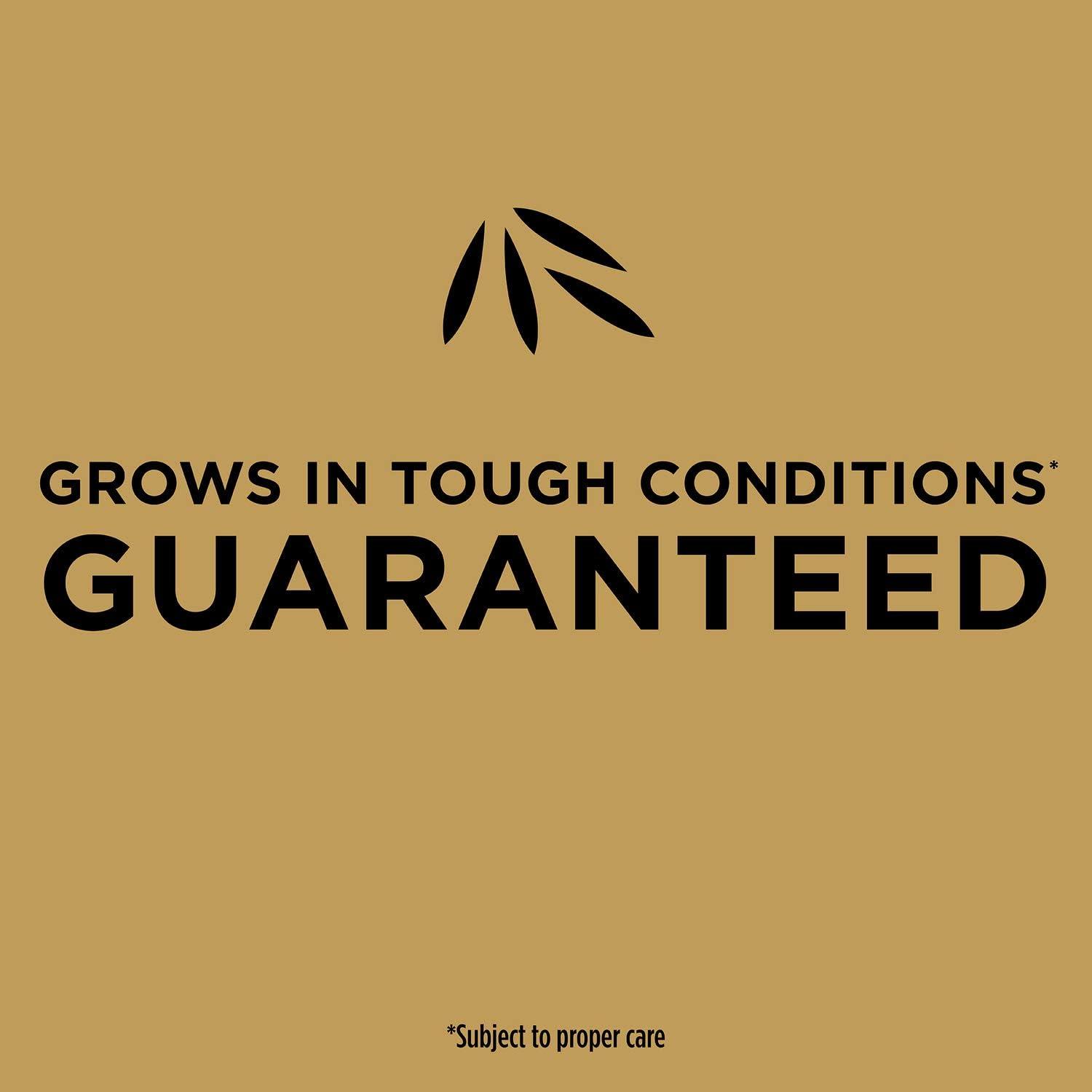 imageScotts EZ Seed Bermudagrass  375 lb Combination Mulch Seed and Fertilizer For Tough Conditions Like Scorching Heat and Dry Areas Grows on Slopes and in High Traffic Areas2 Pack