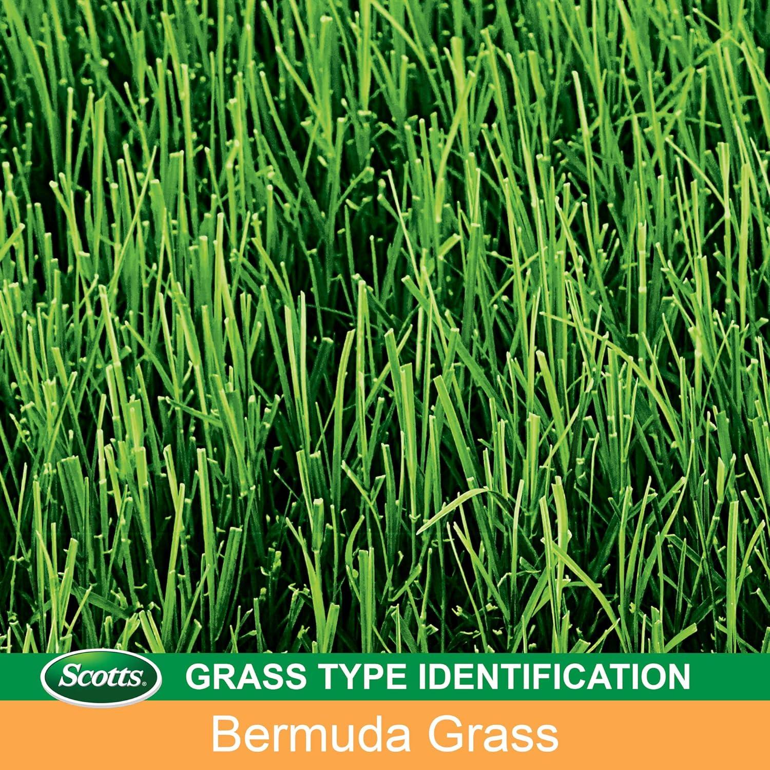 imageScotts EZ Seed Bermudagrass  375 lb Combination Mulch Seed and Fertilizer For Tough Conditions Like Scorching Heat and Dry Areas Grows on Slopes and in High Traffic Areas1 Pack