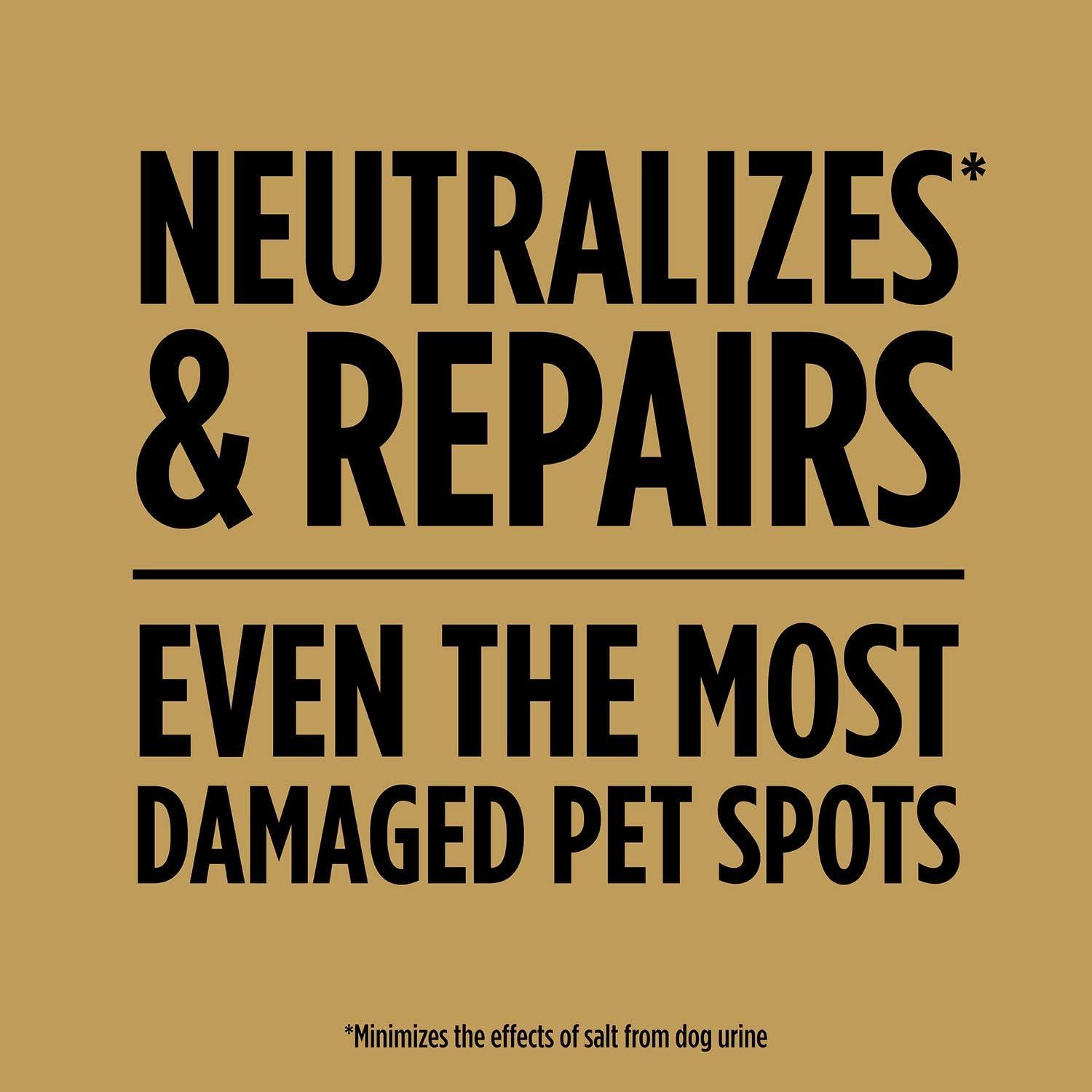 imageScotts EZ Seed Dog Spot Repair Sun and Shade  2 Lb Mulch Seed and Soil Amendment with Protectant and Tackifier Repairs Pet Spots