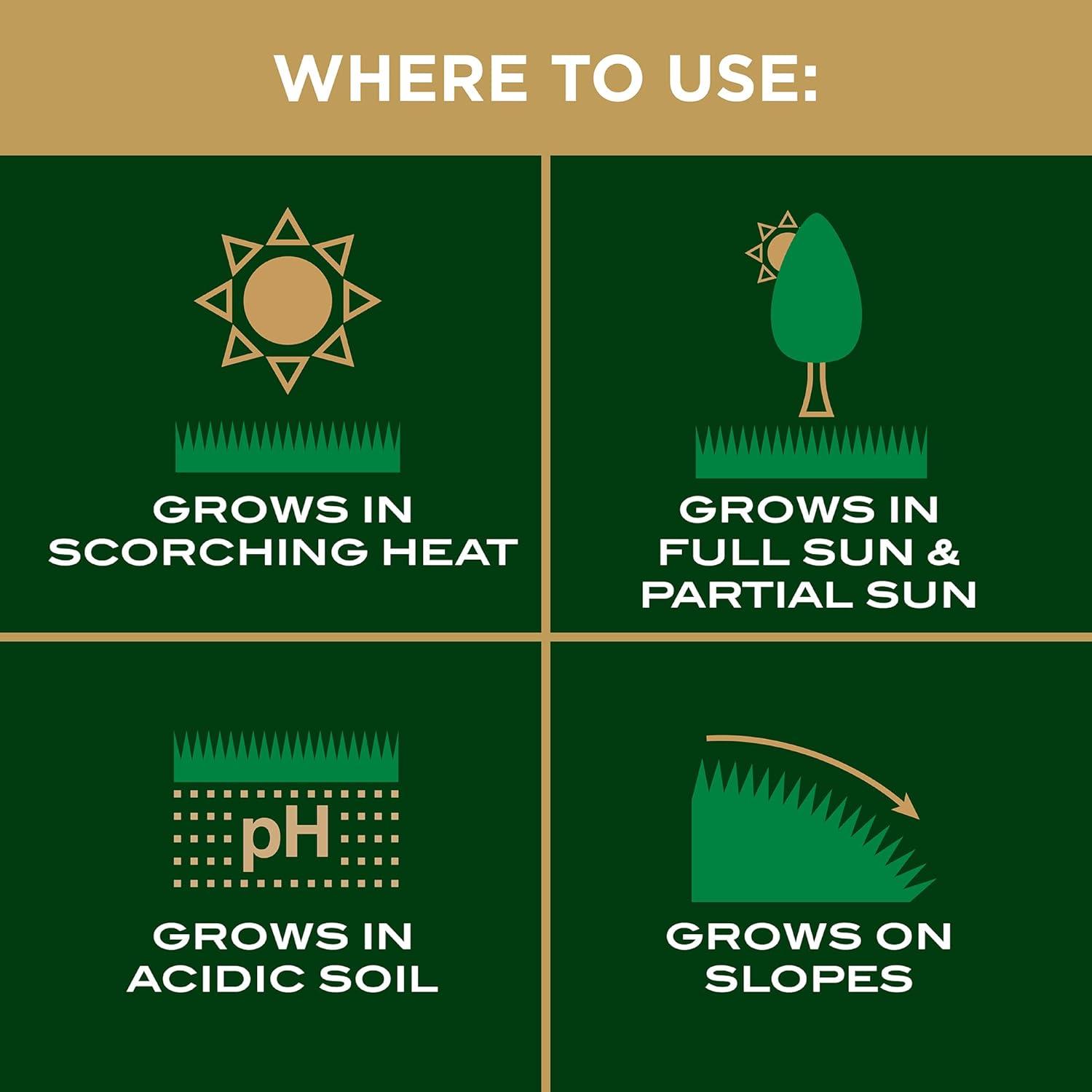 imageScotts EZ Seed Patch and Repair Centipede Grass 375 lbCentipede