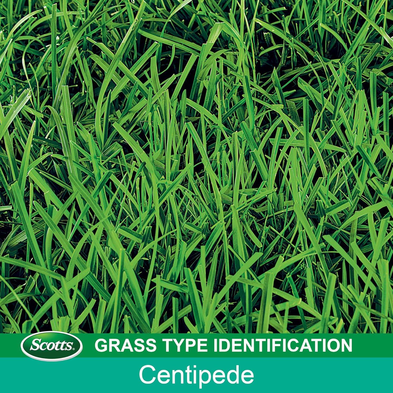 imageScotts EZ Seed Patch and Repair Centipede Grass 375 lbCentipede