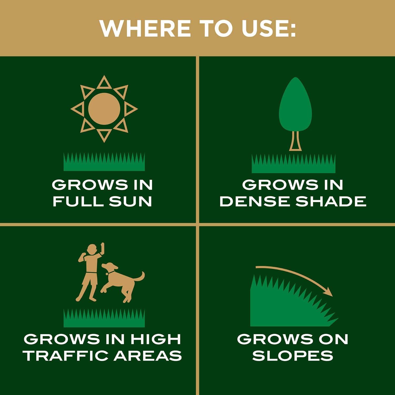 imageScotts EZ Seed Patch and Repair Tall Fescue Lawns 375 lb  Combination Mulch Seed and Fertilizer  Tackifier Reduces Seed WashAway  Mix Covers up to 85 sq ft40 lb