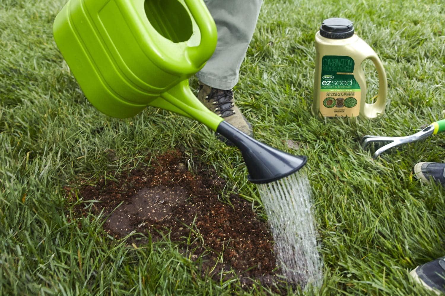 imageScotts EZ Seed Patch and Repair Tall Fescue Lawns 375 lb  Combination Mulch Seed and Fertilizer  Tackifier Reduces Seed WashAway  Mix Covers up to 85 sq ft375 lb