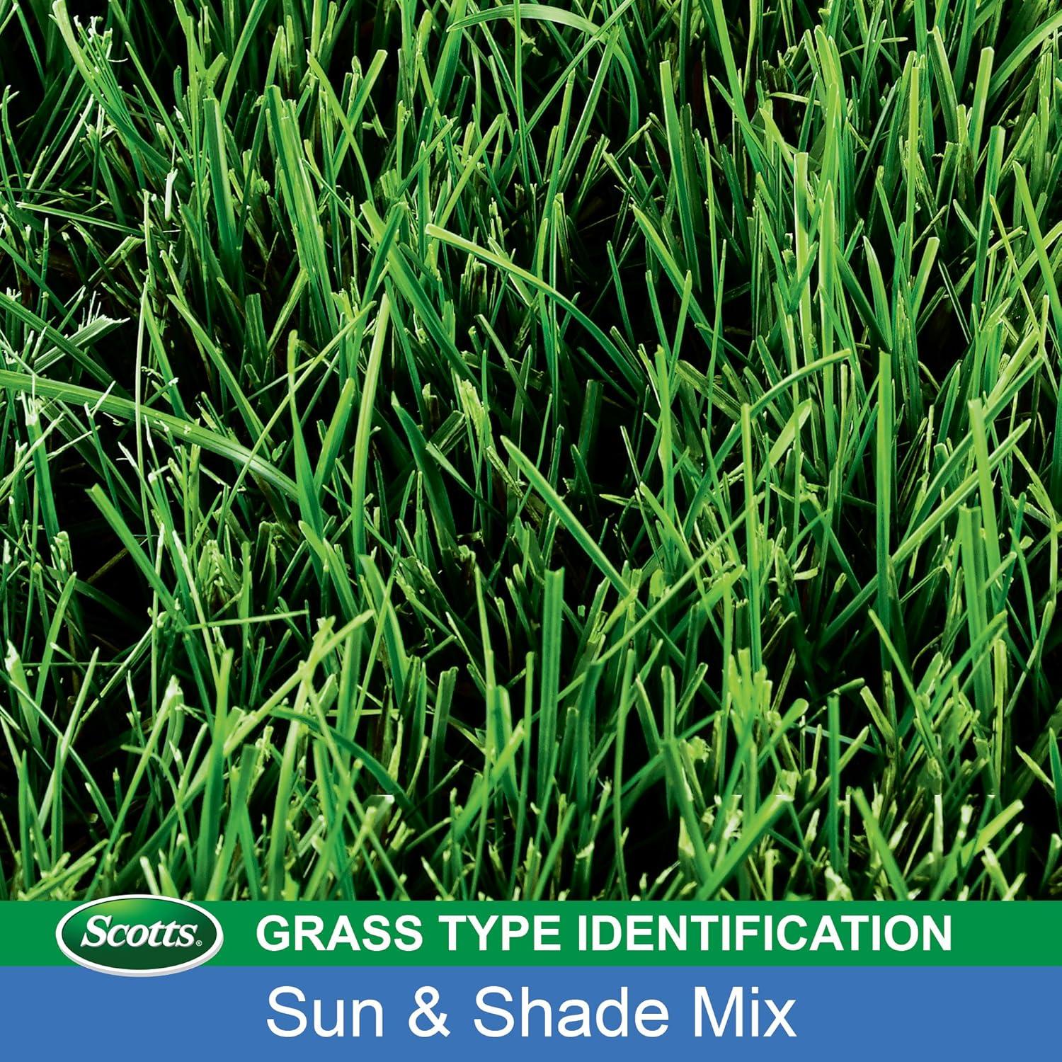 imageScotts Turf Builder Grass Seed Sun ampamp Shade Mix with Fertilizer and Soil Improver Thrives in Many Conditions 32 lbs20 lb