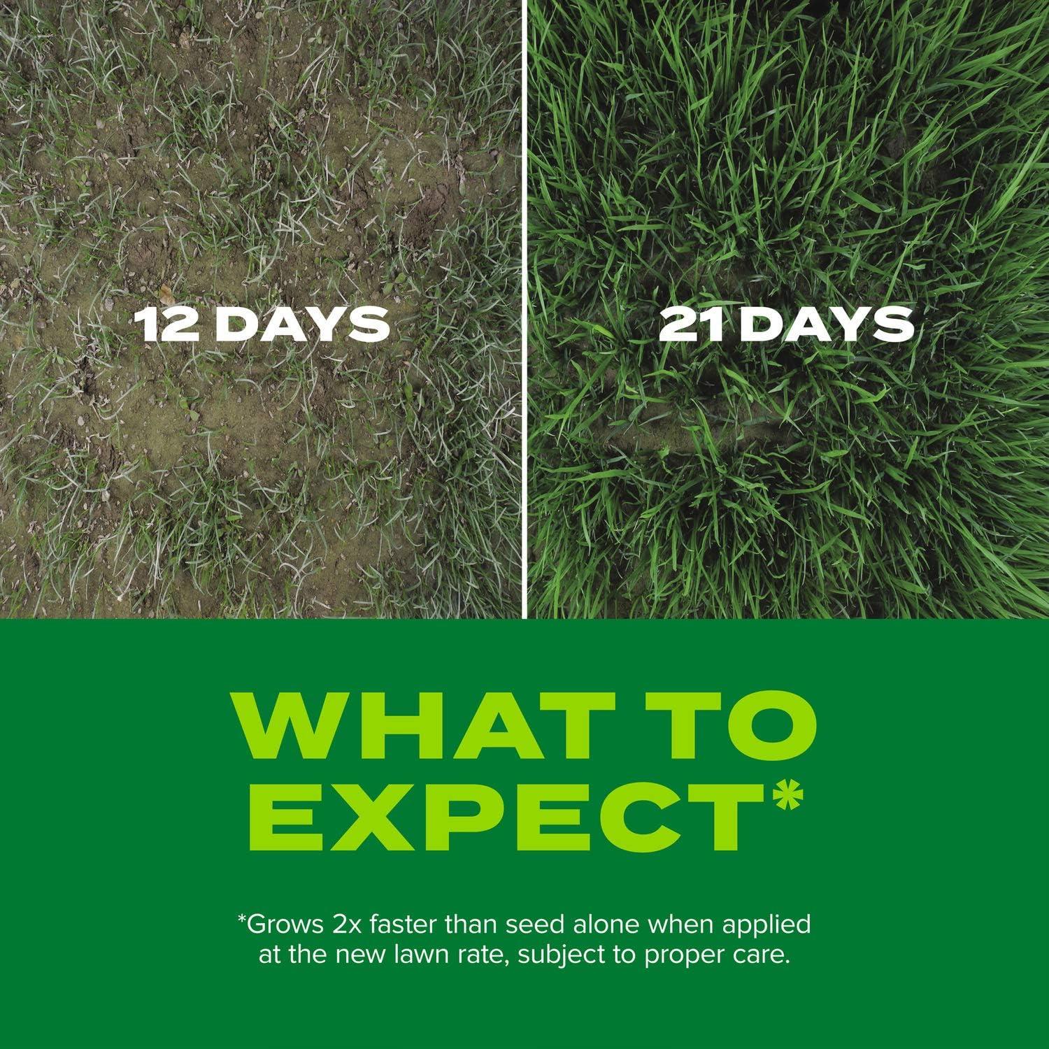 imageScotts Turf Builder Rapid Grass Sun ampamp Shade Mix Combination Seed and Fertilizer Grows Green Grass in Just Weeks 56 lbs16 lb