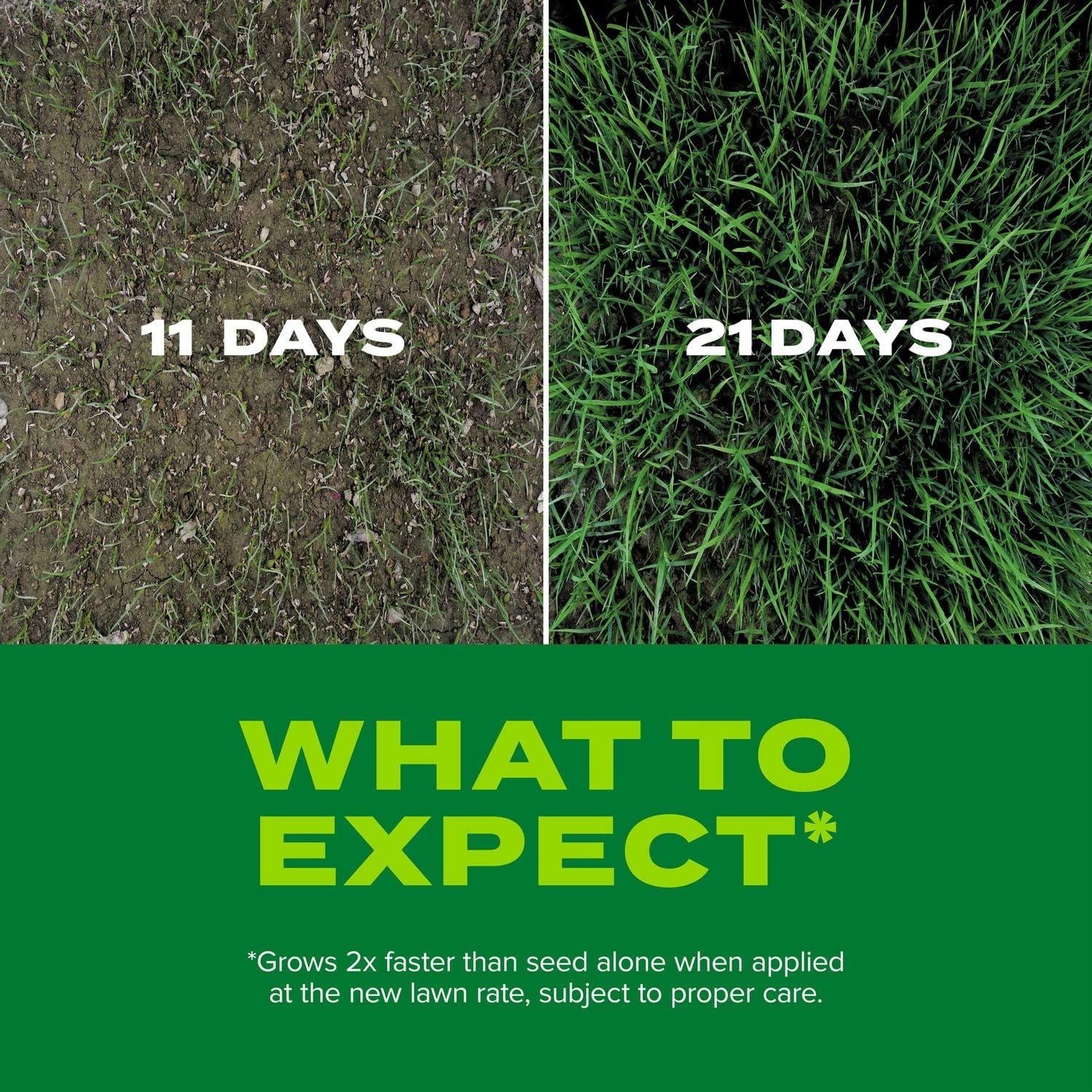 imageScotts Turf Builder Rapid Grass Tall Fescue Mix Combination Seed and Fertilizer Grows Green Grass in Just Weeks 56 lbs56 lb