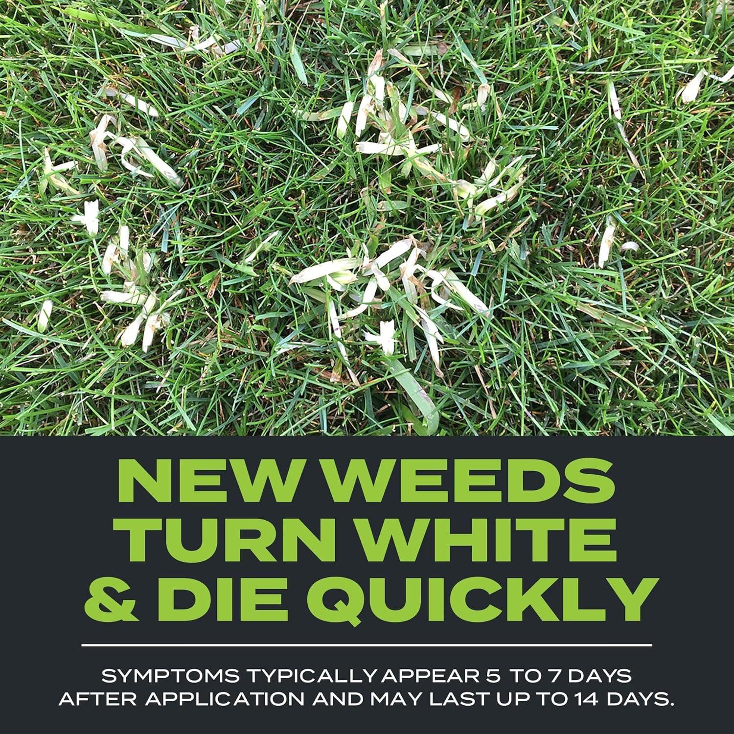 imageScotts Turf Builder Triple Action Built For Seeding  Weed Preventer and Fertilizer for New Lawns 1000 sq ft 43 lbs1 000 sq ft