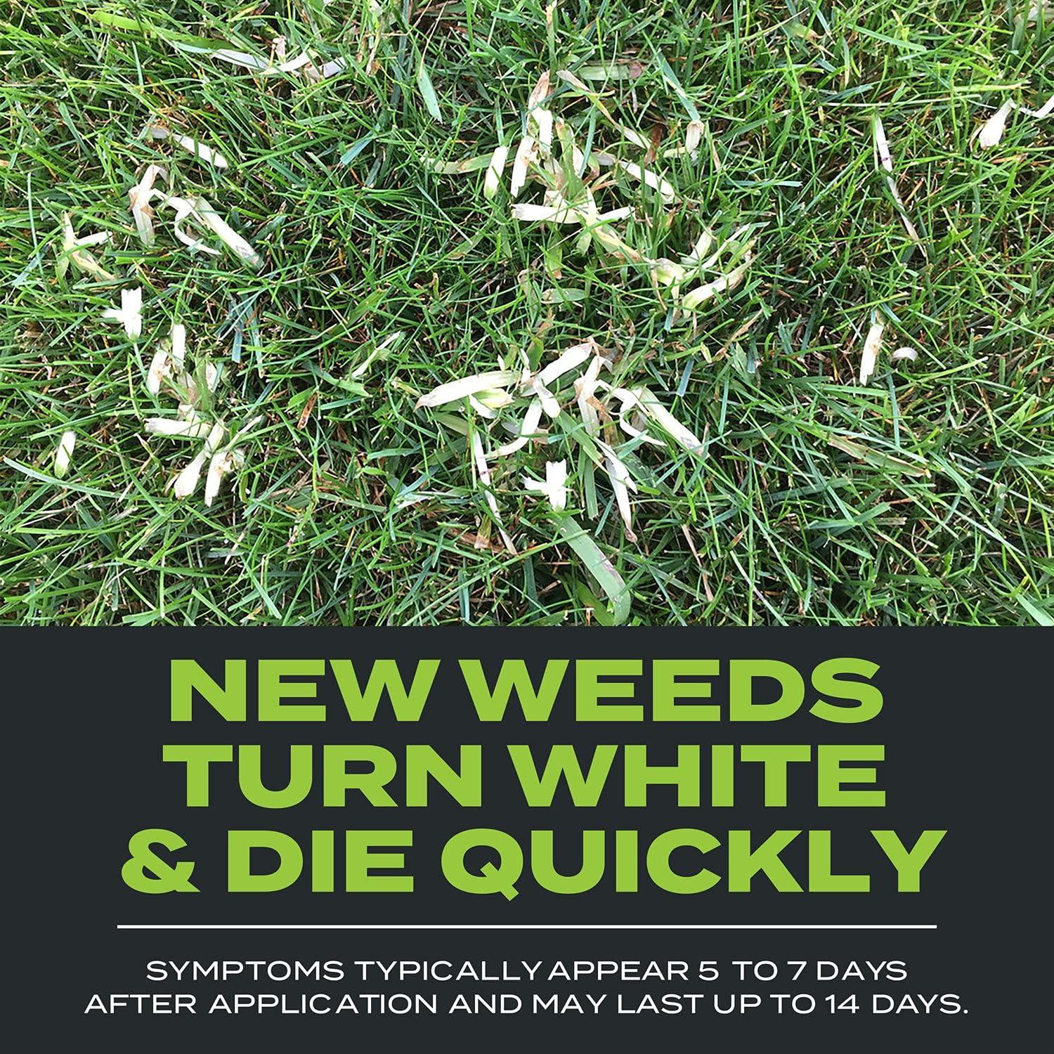 imageScotts Turf Builder Triple Action Built For Seeding  Weed Preventer and Fertilizer for New Lawns 1000 sq ft 43 lbs4 000 sq ft