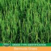 imageScotts EZ Seed Bermudagrass  375 lb Combination Mulch Seed and Fertilizer For Tough Conditions Like Scorching Heat and Dry Areas Grows on Slopes and in High Traffic Areas2 Pack