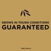 imageScotts EZ Seed Bermudagrass  375 lb Combination Mulch Seed and Fertilizer For Tough Conditions Like Scorching Heat and Dry Areas Grows on Slopes and in High Traffic Areas2 Pack