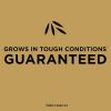 imageScotts EZ Seed Bermudagrass  375 lb Combination Mulch Seed and Fertilizer For Tough Conditions Like Scorching Heat and Dry Areas Grows on Slopes and in High Traffic Areas1 Pack