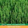 imageScotts EZ Seed Bermudagrass  375 lb Combination Mulch Seed and Fertilizer For Tough Conditions Like Scorching Heat and Dry Areas Grows on Slopes and in High Traffic Areas1 Pack