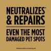 imageScotts EZ Seed Dog Spot Repair Sun and Shade  2 Lb Mulch Seed and Soil Amendment with Protectant and Tackifier Repairs Pet Spots