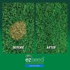 imageScotts EZ Seed Dog Spot Repair Sun and Shade  2 Lb Mulch Seed and Soil Amendment with Protectant and Tackifier Repairs Pet Spots