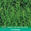 imageScotts EZ Seed Patch and Repair Centipede Grass 375 lbCentipede