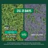 imageScotts EZ Seed Patch and Repair Centipede Grass 375 lbCentipede