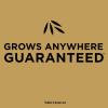 imageScotts EZ Seed Patch and Repair Tall Fescue Lawns 375 lb  Combination Mulch Seed and Fertilizer  Tackifier Reduces Seed WashAway  Mix Covers up to 85 sq ft40 lb