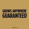 imageScotts EZ Seed Patch and Repair Tall Fescue Lawns 375 lb  Combination Mulch Seed and Fertilizer  Tackifier Reduces Seed WashAway  Mix Covers up to 85 sq ft2 lb