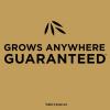 imageScotts EZ Seed Patch and Repair Tall Fescue Lawns 375 lb  Combination Mulch Seed and Fertilizer  Tackifier Reduces Seed WashAway  Mix Covers up to 85 sq ft10 lb