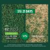 imageScotts EZ Seed Patch and Repair Tall Fescue Lawns 375 lb  Combination Mulch Seed and Fertilizer  Tackifier Reduces Seed WashAway  Mix Covers up to 85 sq ft10 lb